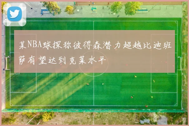 某NBA球探称彼得森潜力超越比迪班萨有望达到克莱水平