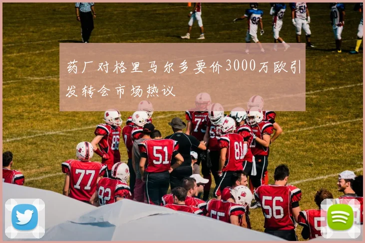 药厂对格里马尔多要价3000万欧引发转会市场热议